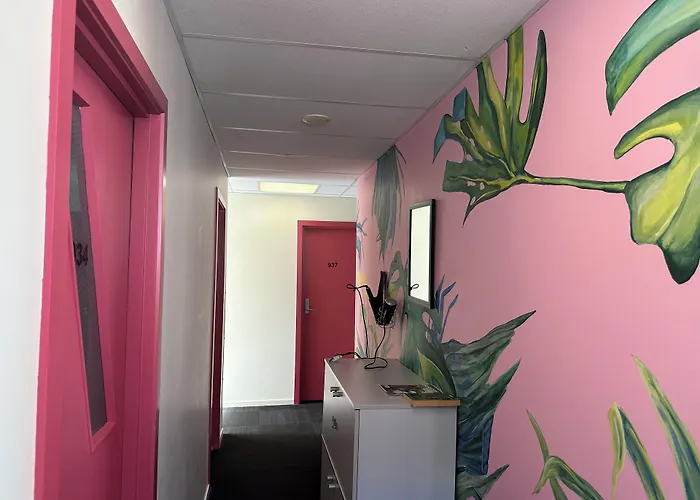 Trek Global Backpackers Hostel Wellington