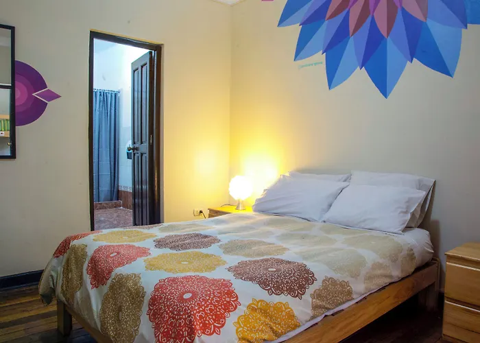 Bear Packer Hostel Cusco