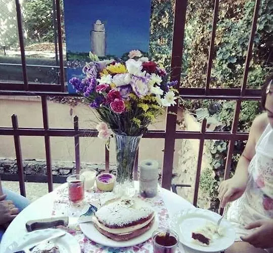 Kevin'S Hostel İstanbul