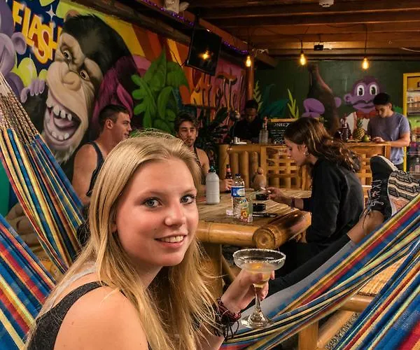 Purple Monkey Hostel Medellin