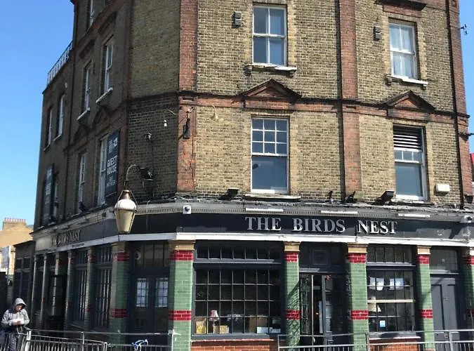The Birds Nest Hostel London