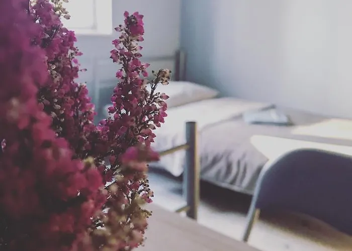 Lawendowy Hostel Wroclaw