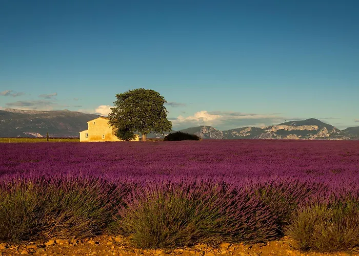 Provence