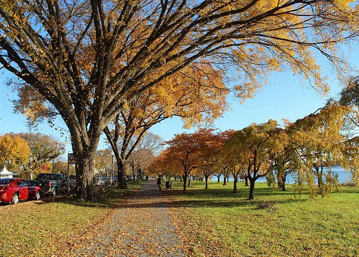 Washington D.C. Area